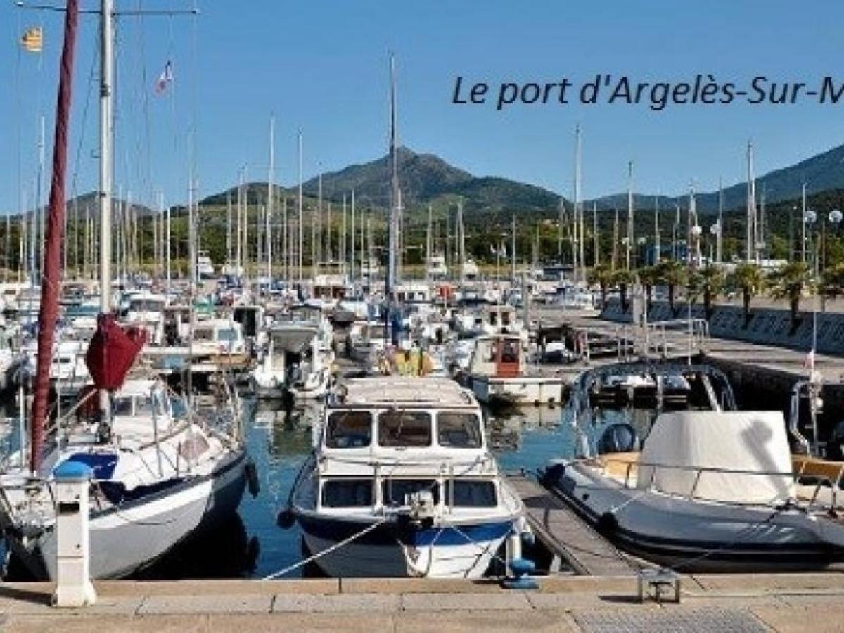 Appartement Argeles-Sur-Mer, 2 Pieces, 4 Personnes - Fr-1-225-52 ภายนอก รูปภาพ